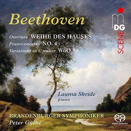 BRANDENBURGER SYMPHO - BEETHOVEN ORCHESTRAL WORKS - CD image 1