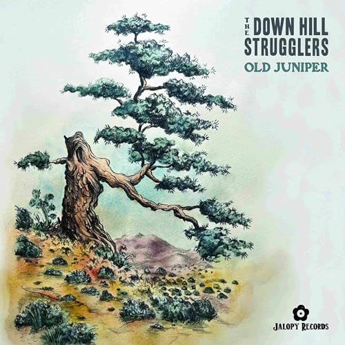 Down Hill Strugglers - Old Juniper - Vinyl Record image 1