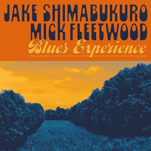 Jake Shimabukuro & M - Blues Experience - Vinyl Record image 1