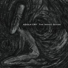 IRONIC DIVIDE - CDD image 1