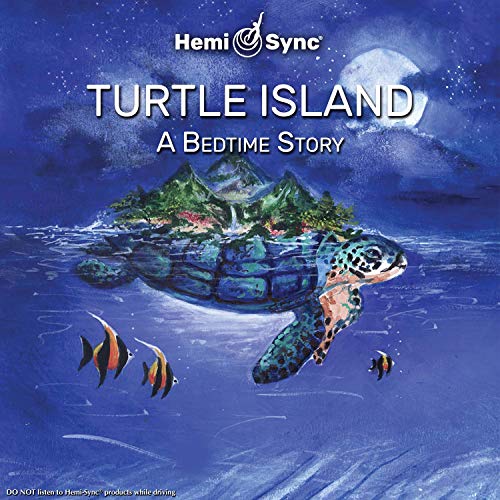 JANE ELY & PATRICIA - TURTLE ISLAND - CD image 1
