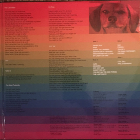 Ty Segall - Freedom’s Goblin - Vinyl Record image 3