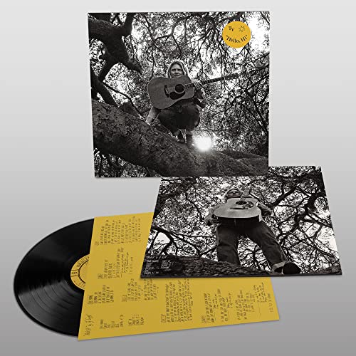 SEGALL - HELLO HI - Vinyl Record 12" RECORD image 1