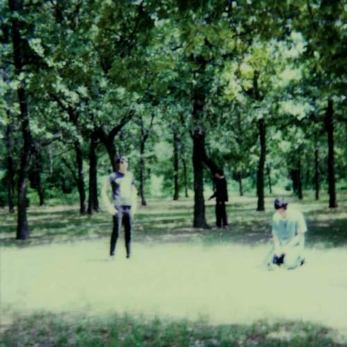 FUCKING CHAMPS - III - Vinyl Record 12" RECORD image 1