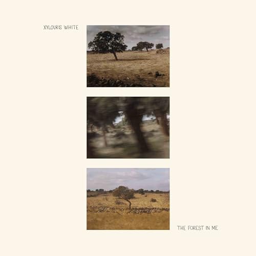 XYLOURIS WHITE - FOREST IN ME - Vinyl Record 12" RECORD image 1