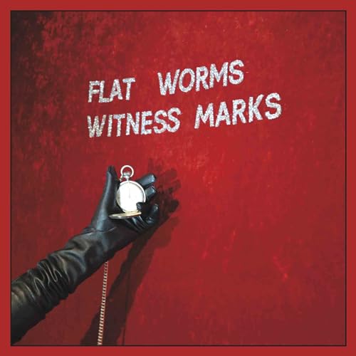 FLAT WORMS - WITNESS MARKS - Vinyl Record 12" RECORD image 1