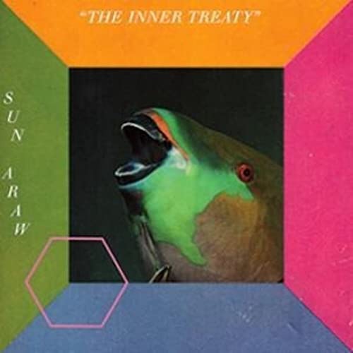 Sun Araw - Inner Treaty - Vinyl Record image 1