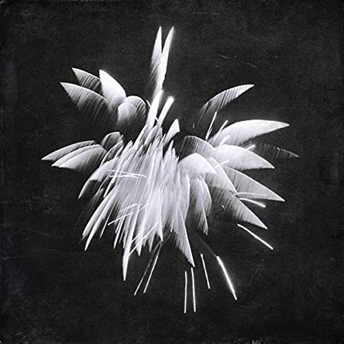 BRENT WINDLER - NEW MORNING HOWL - CD image 1