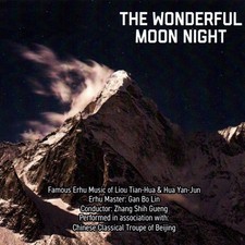 VARIOUS ARTISTS - WONDERFUL MOON NIGHT - CD image 1