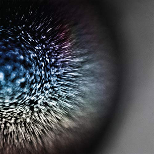 EMPTYSET - BLOSSOMS - Vinyl Record 12" RECORD image 1