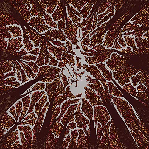 Trash Boat - Crown Shyness - CD image 1