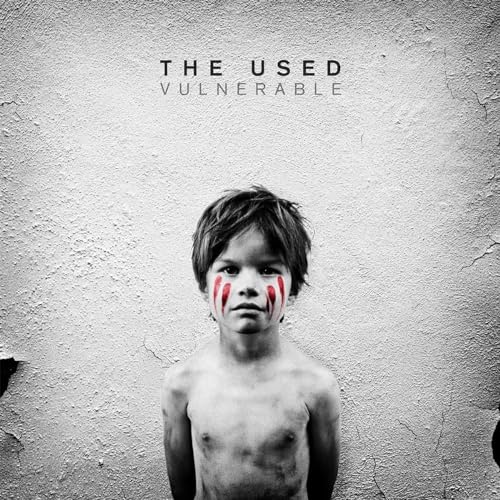 USED - VULNERABLE - Vinyl Record 12" RECORD image 1