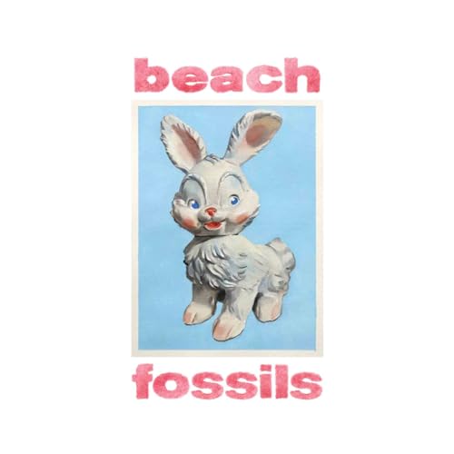 BEACH FOSSILS - BUNNY - CD image 1