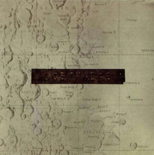 Low - Things We Lost In The Fire - Vinyl Record image 1