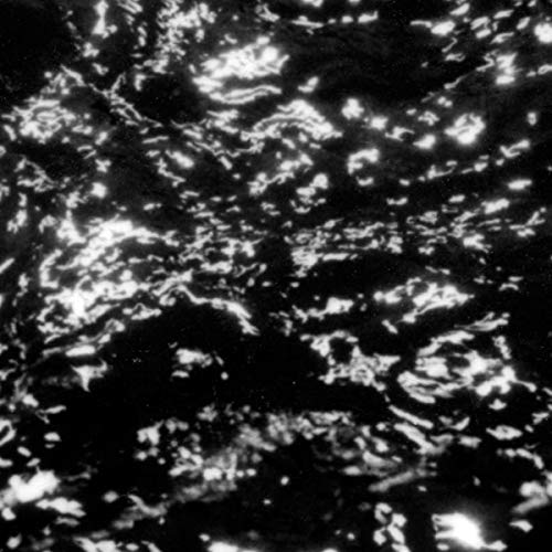 GROUPER - A I A  DREAM LOSS - Vinyl Record image 1