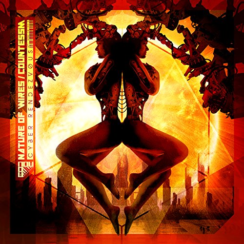 NATURE OF WIRES / CO - CYBER RENDEZVOUS - CD image 1