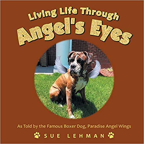 Living Life Through Angel's Eyes