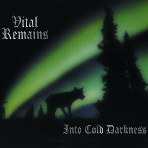 Vital Remains - Into Cold Darkness - Vinyl Record image 1