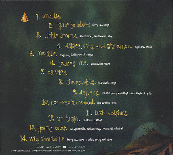 LEILA - BLOOD, LOOMS & BLOOMS - CD ALBUM image 3