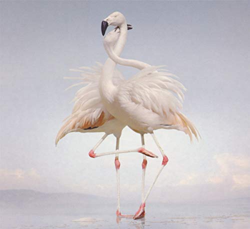 Rustie - Green Language - CD image 1