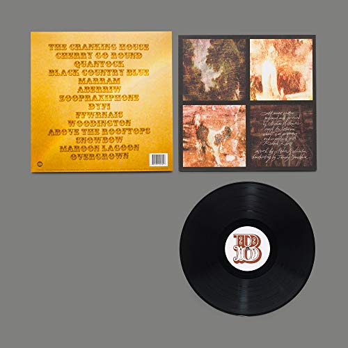 BIBIO - HAND CRANKED - Vinyl Record 12" RECORD image 2