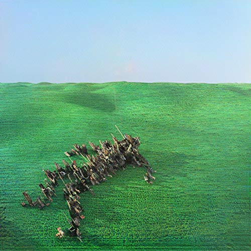 SQUID - BRIGHT GREEN FIELD (2LP/DL CARD) - Vinyl Record lp image 1