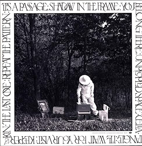 ROSSEN - YOU BELONG THERE - Vinyl Record 12" RECORD image 2