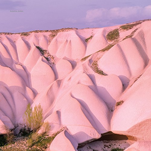 Autechre - Amber - Vinyl Record image 1