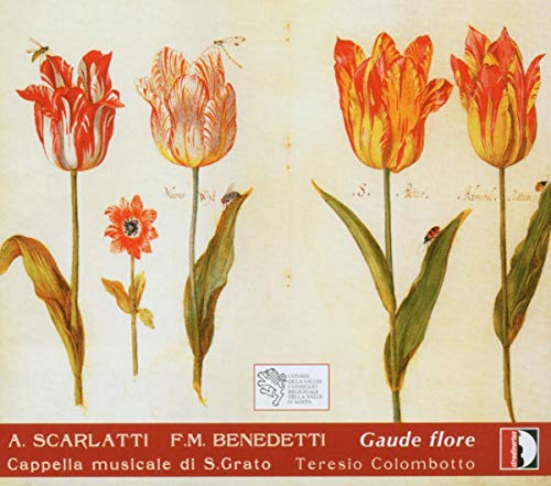 SCARLATTI - :GAUDE FLORE - CD image 1