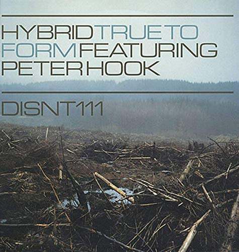 Hybrid - True To Form - Used Vinyl Record 12" image 1