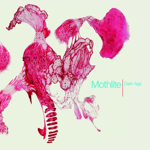Mothlite - Dark Age - Vinyl Record image 1
