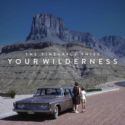 PINEAPPLE THIEF - YOUR WILDERNESS - CD image 1