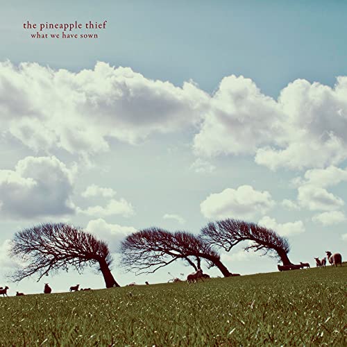 Pineapple Thief - What We Have Sown - Vinyl Record image 1