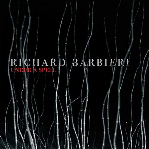 Richard Barbieri - Under a Spell - Vinyl Record image 1