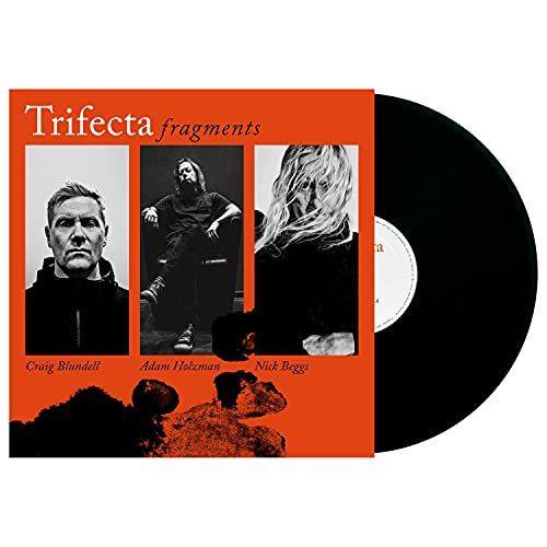 Fragments - Vinyl Record image 2