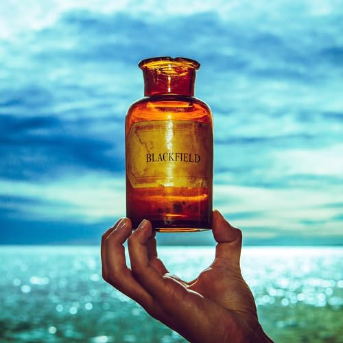Blackfield - V - CD image 1