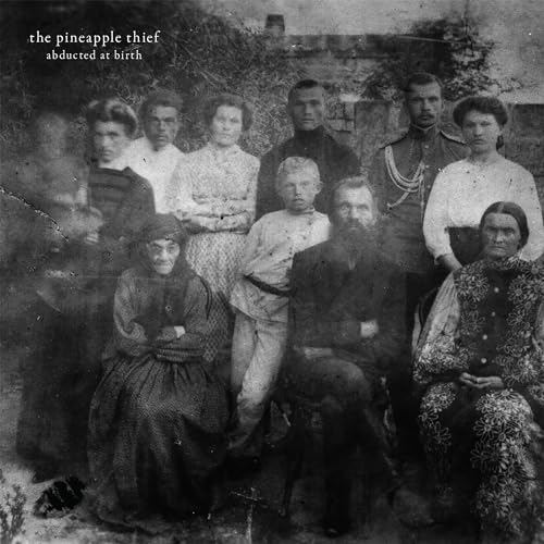 Pineapple Thief - Abducted At Birth - Vinyl Record image 1