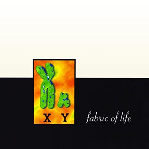 NYLONS - FABRIC OF LIFE - CD image 1