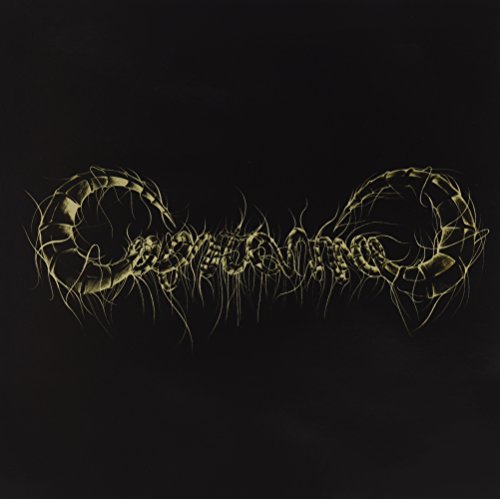 CAPRICORNS - Vinyl Record 12 image 1