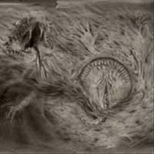 NIDSANG - INTO THE WOMB OF DISSOLVING FLAMES - Vinyl Record image 1