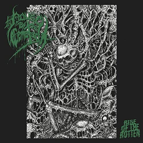 RISE OF THE ROTTEN - Vinyl Record image 1