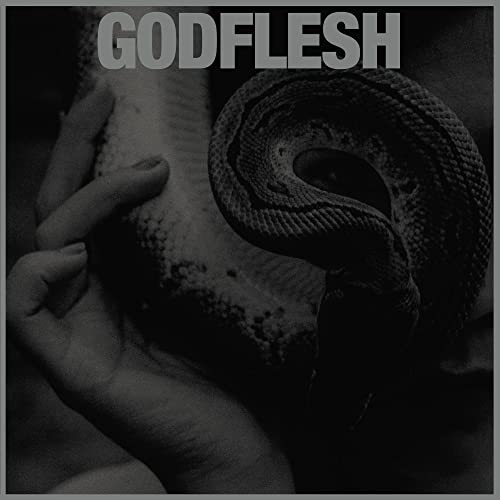 GODFLESH - PURGE - Vinyl Record image 1