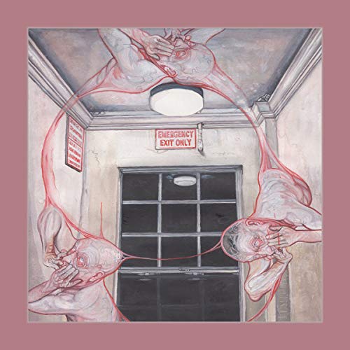 CAINA - GENTLE ILLNESS - Vinyl Record image 1