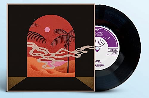 STILL BROTHERS - WAKE UP FT MARINA / THE DEEP - Vinyl Record VL image 1