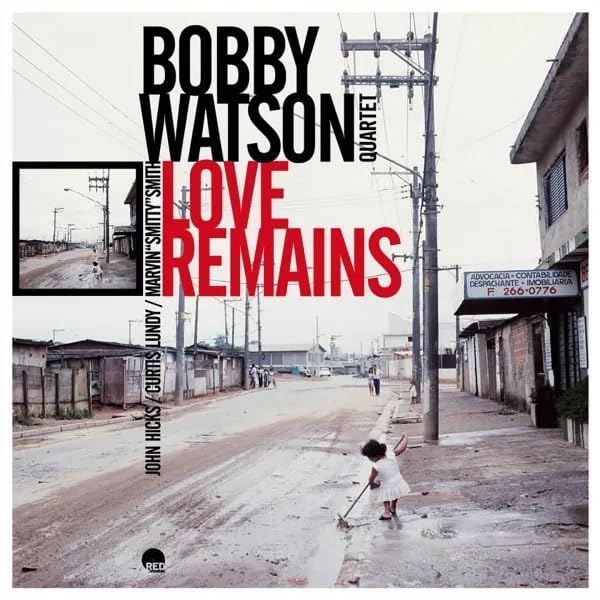 Love Remains - Vinyl Record image 1