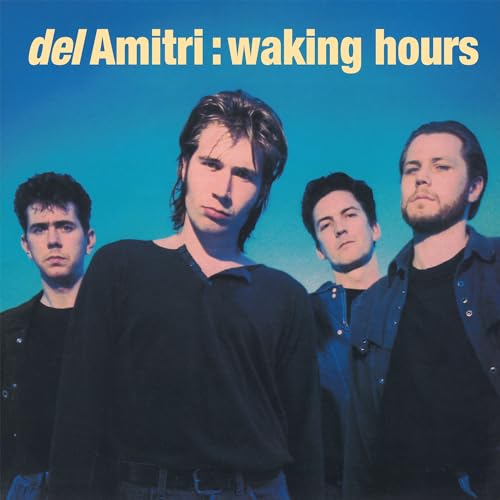 Del Amitri - Waking Hours - Vinyl Record image 1