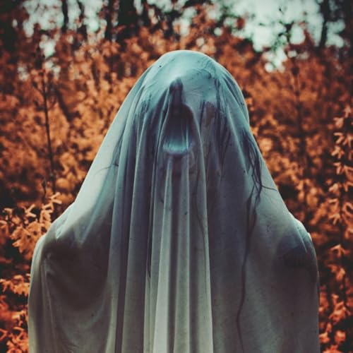 Noctambulist - I: Elegieen - Vinyl Record lp image 1