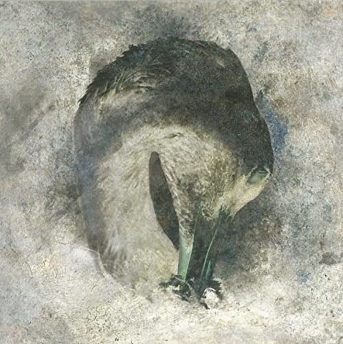 SUMA - ASHES - CD ALBUM image 1