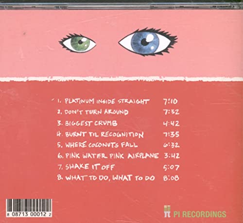 Henry Threadgill - Everybodys Mouth's A Book - CD image 2