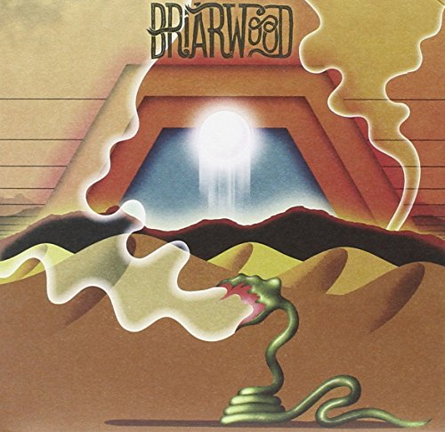 Wooden Wand - Briarwood - CD image 1